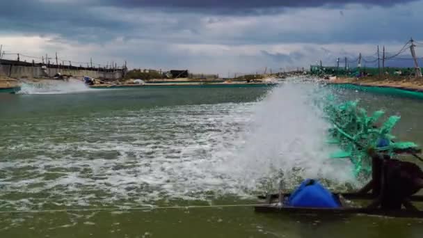 Spinning Aerators Running Shrimp Farm Pond Son Hai Vietnam Locked — Stock video