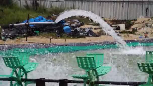 Spinning Paddles Shrimp Farm Aerator Locked Slow Motion — Vídeos de Stock