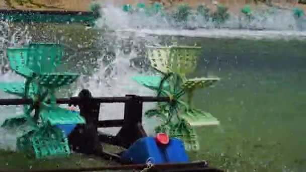 Spinning Paddles Shrimp Farm Aerator Vietnam Locked Slow Motion — Stockvideo