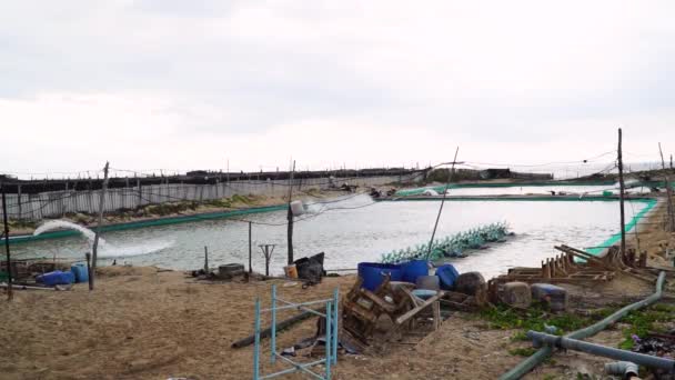 Shrimp Aquaculture Farm Vietnam Static View — 비디오