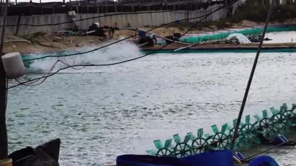 Shrimp Farm Spinning Water Turbines Static Shot — Stok video