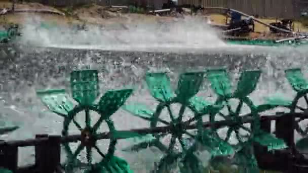 Electric Aerators Plastic Paddlewheels Adding Air Water Shrimp Farm Vietnam — ストック動画