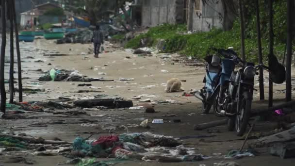 Pollution Scene Motorcycle Stray Dog Man Walking Beach Mui Vietnam — Stockvideo