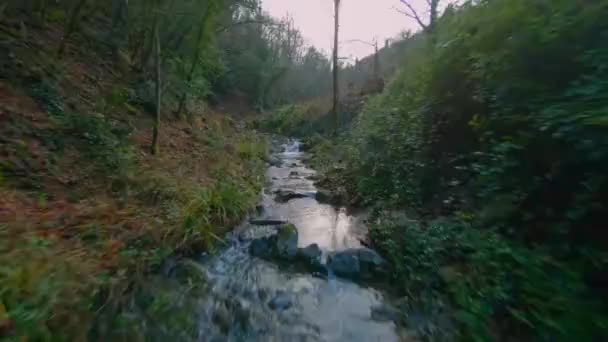 Low Flight Stream Middle Forest Autumn Italy Tuscany — Wideo stockowe