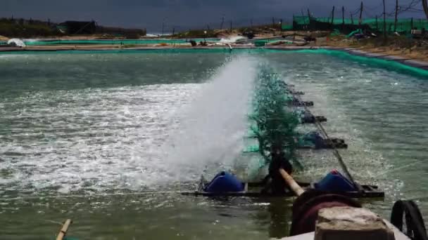 Paddle Wheel Aerators Floating Pond Shrimp Farm Son Hai Vietnam — 비디오