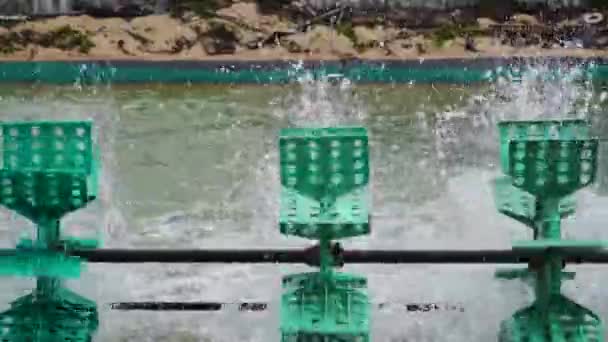 Shrimp Farm Green Paddle Wheels Son Hai Vietnam Close — Stockvideo