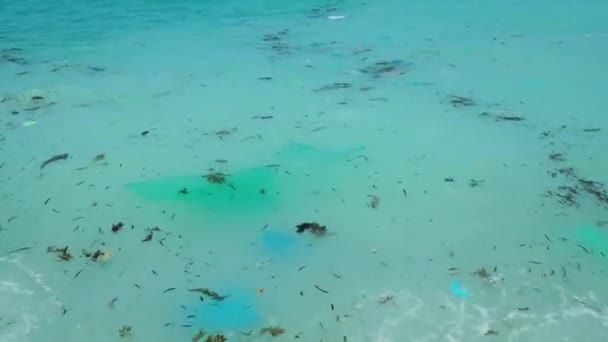 Asian Sea Water Covered Plastic Garbage Other Rubbish Leftover Floating — Stok video