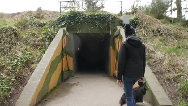Woman Dog Walk Military Bunker Ebey Landing Whidbey Island — Vídeo de Stock