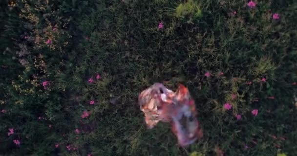 Bird Eye Drone Footage View Beautiful Young Woman Colorful Dress — Stockvideo