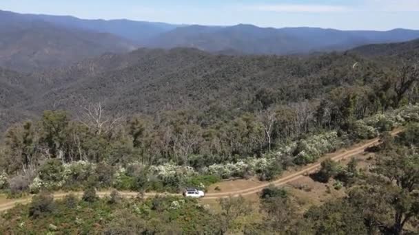 Aerial Drone Shot Four Wheel Drive Toyota Driving Windy Road — Stok video