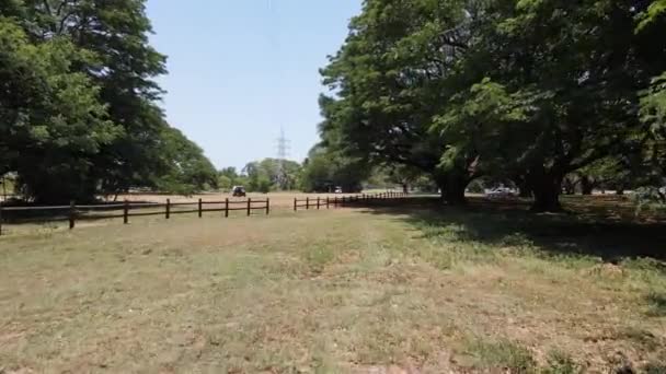 Low Slow Moving Drone Shot Golf Cart Shady Green Tree — Stok video