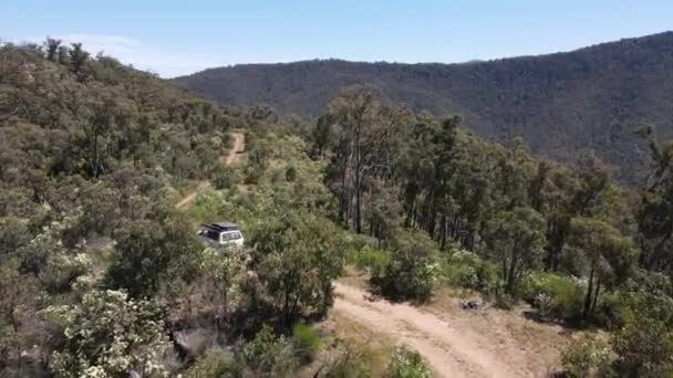 4Wdの空中ドローンショットビクトリア州エイリドン湖の近くの茂みの山の上の未舗装の道を運転するオーストラリア — ストック動画