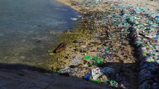 Beach Sea Contaminated Plastic Trash Vietnam Coast Pollution — Stockvideo