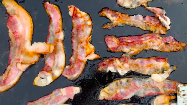 Sizzling Bacon Blackstone Griddle — Stok video