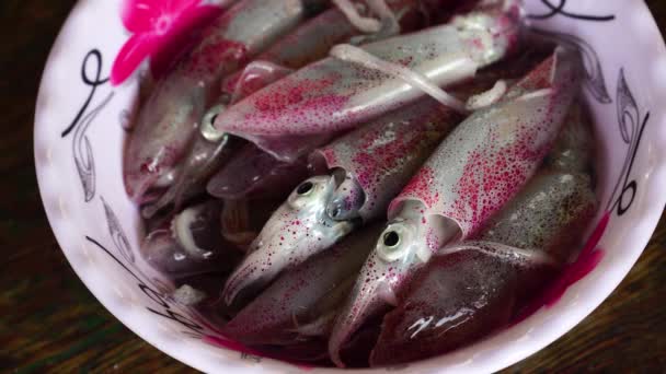 Stunning Sea Squids Changing Color Fishing Batch — Vídeo de Stock