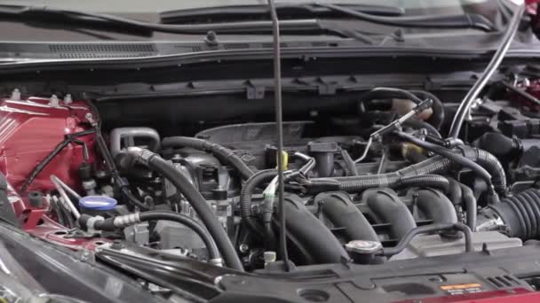Car Motor Open Emission Testing — Stock video