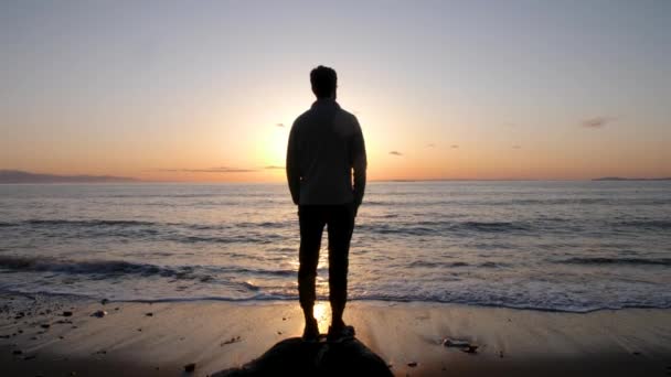 Silhouetted Man Contemplating Ocean — Stock Video