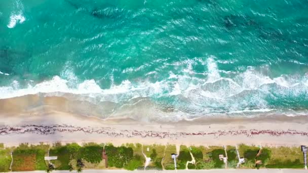 Panning Shot Amazing Coastline South Florida — Vídeo de stock