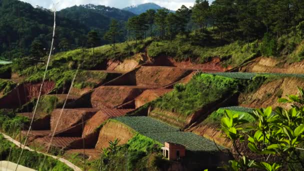 View Countryside Dalat Beautiful Vegetable Farms Planting Flower Greenhouses Terraced — Vídeos de Stock