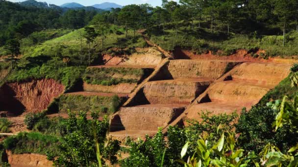 Static Shot Terracing Prepared Planting Lat Vietnam — Video