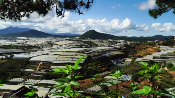 Terraced Fields Greenhouses Lat Agricultural Area Vietnam — 비디오