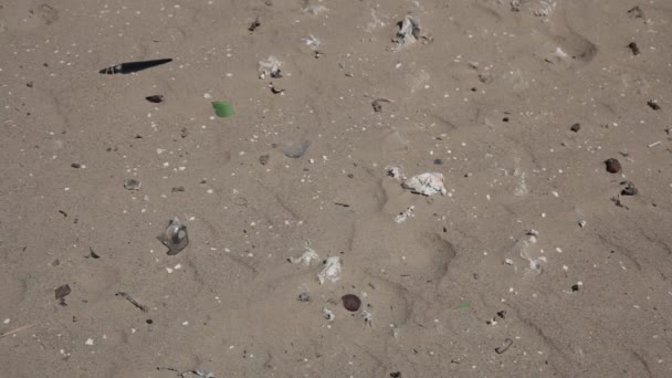 Sand Dunes Full Plastic Bags Bottles Scattered Household Waste — Stockvideo