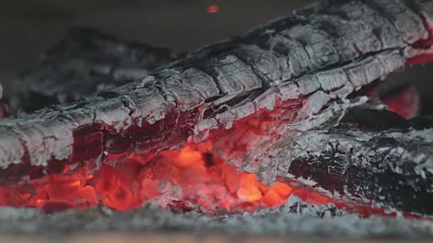 Wooden Logs Burning Rustic Oven Dying Fire Close Still Shot — Stok video
