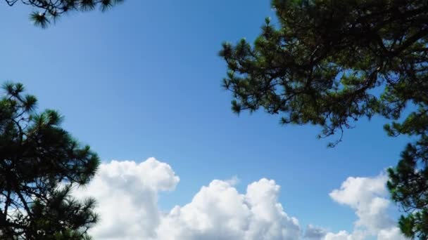 Descending View Expanse Greenhouse Lat Vietnam Daylight — Video