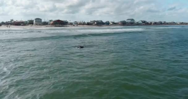 Birds Eye View Surfer Gulf Mexico Coast Lake Jackson Texas — Stockvideo