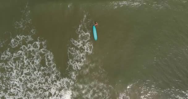 Birds Eye View Female Surfer Gulf Mexico Ανοικτά Των Ακτών — Αρχείο Βίντεο