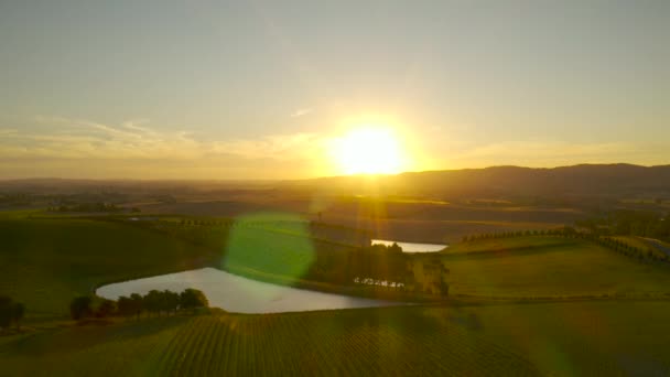 Slow Decent Vast Sunset Vineyard Landscape Scene Yarra Valley Victoria — Vídeos de Stock