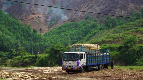 Close Truck Workers Loading Timber Deforestation Landscape Vietnam Static View — Vídeo de stock
