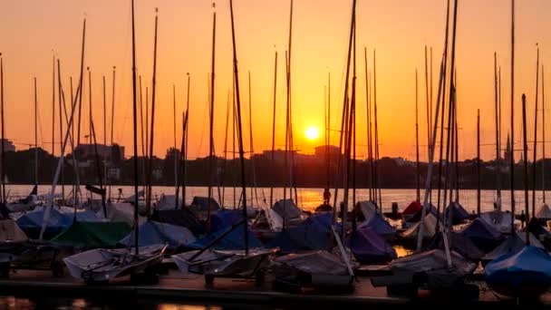 Όμορφο Ηλιοβασίλεμα Του Auenalster Και Βάρκες Αγκυροβολημένο Στην Αποβάθρα Ενώ — Αρχείο Βίντεο
