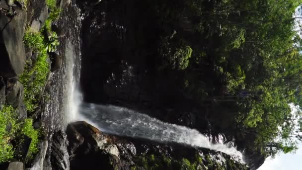 Paradisiacal Tropical Scene Waterfall Vietnam Vertical Static — Video