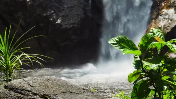 Paradisiacal Tropical Scene Waterfall Background Static Low Pov — Stock videók