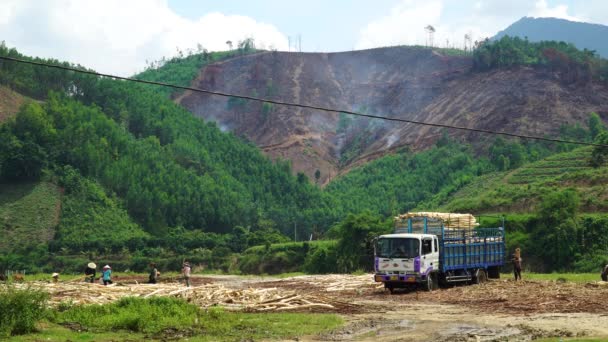 Deforestation Countryside Hilly Region Vietnam — Stock Video