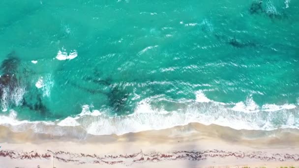 Crystal Clear Deserted Beach Coastline — Vídeo de stock