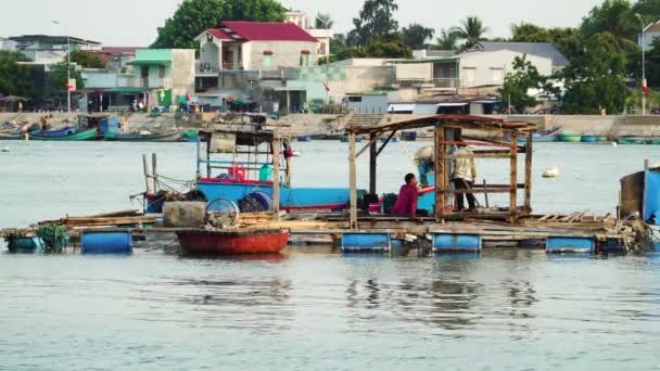 Viskwekerij Met Eigenaar Voeren Van Vis Mui Haven Vietnam Statisch — Stockvideo