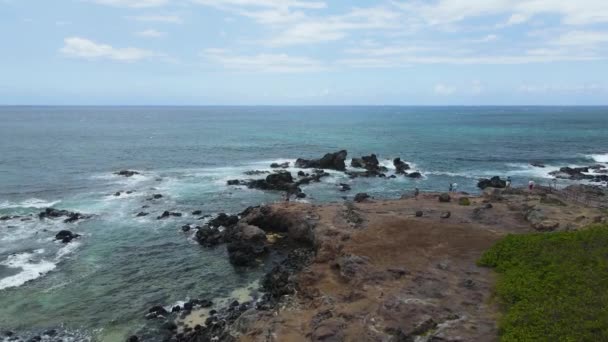 Volcanic Rock Coast Hawaii Island Maui Pacific Ocean Aerial — Video Stock