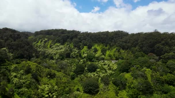 Beautiful Nature Landscape Tropical Hawaiian Island Maui Aerial — Vídeos de Stock