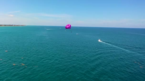 Purple Parasailing Atlantic Ocean South Florida — Stockvideo