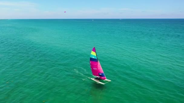 Colorful Catamaran Sailing Coastline Florida — Vídeos de Stock