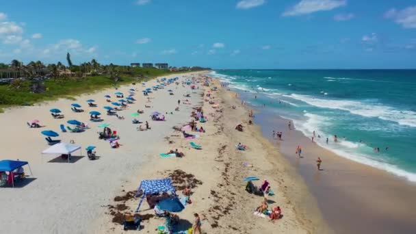Crowed Beach South Florida — Stockvideo