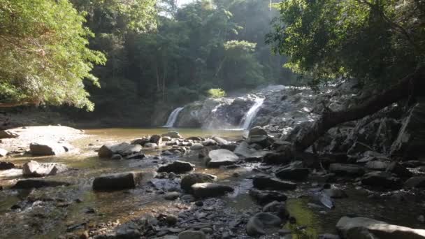 Natural Colombian Reserve Quebrada Valencia — Vídeo de Stock