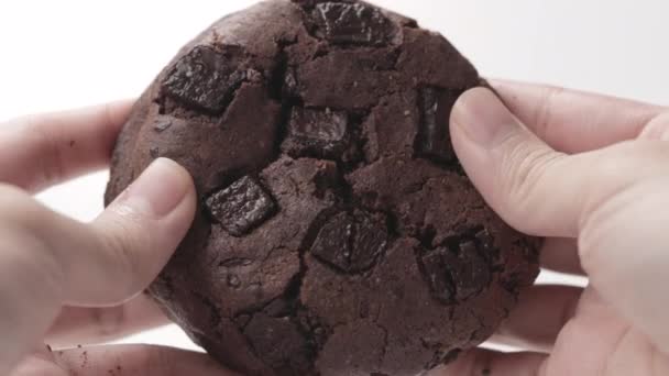 Double Chocolate Fudge Cookie Split Person Hand Close Slow Motion — Vídeo de stock