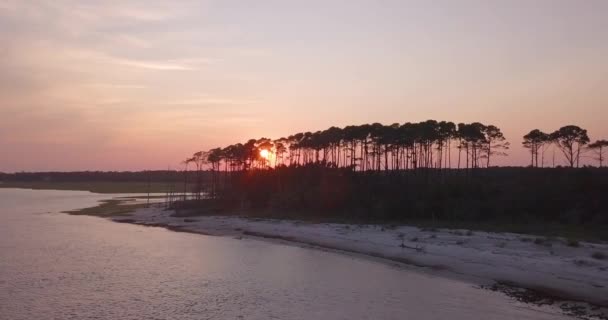 South Carolina Secluded Island Sunset Trees — Stockvideo