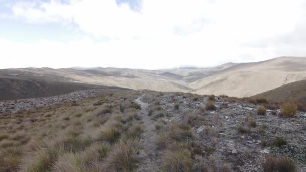 Colombian Paramo Santurban Wide Shot — 图库视频影像