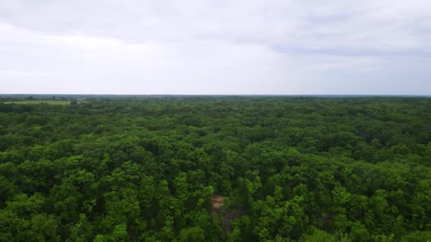 Columbia Missouri Lush Green Trees Dense Foliage Forest Aerial Copy — 비디오