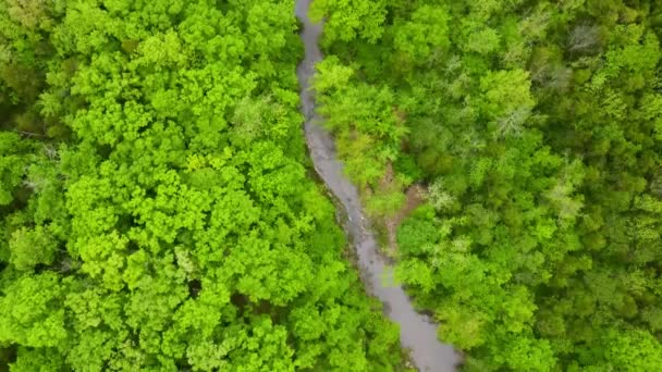 Columbia Missouri Lush Forests River Aerial Nature Overhead View — Stockvideo