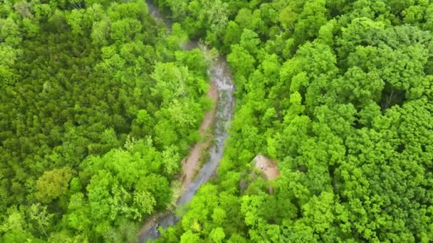 Ποταμός Green Forest Ecosystem America Midwest State Missouri Aerial — Αρχείο Βίντεο